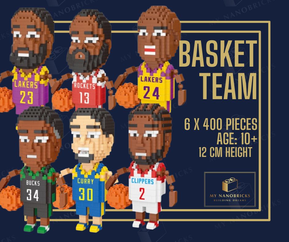 Nanobricks Basket Team